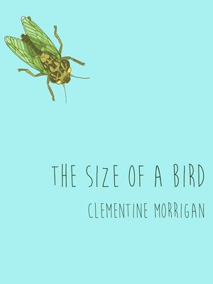 cover image of The Size of a Bird
